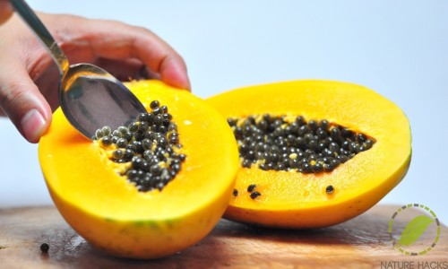 beneficios de la semilla de papaya
