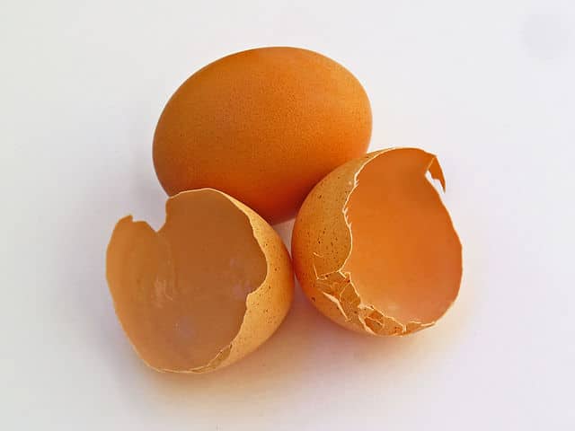 beneficios de la cascara de huevo