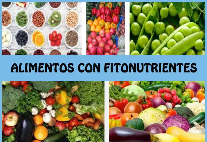 alimentos con fitonutrientes