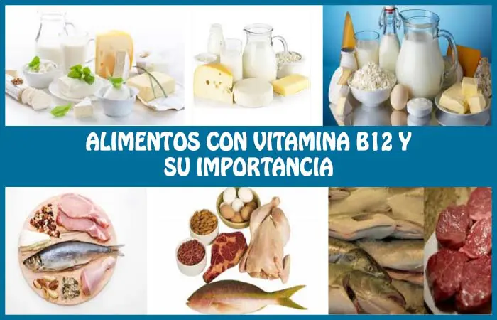 alimentos ricos en vitamina b12