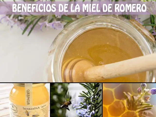 propiedades y beneficios de la miel de romero