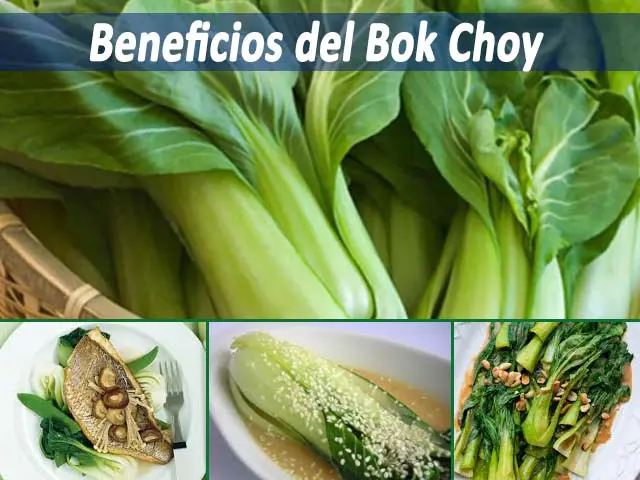 beneficios del Bok Choy
