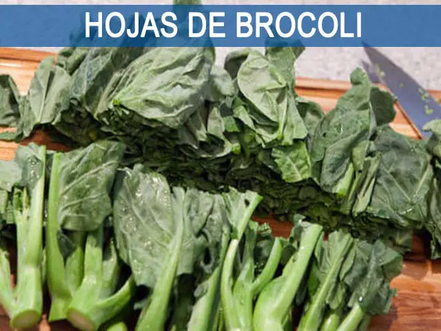 hojas de brocoli