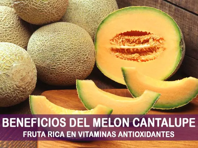 beneficios del melon cantalupo