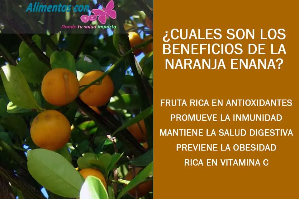 beneficios de la naranja enana o kumquat
