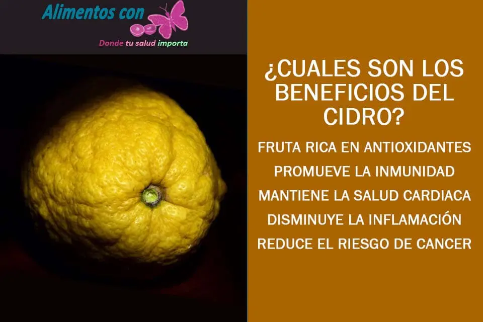 beneficios del cidro o citron
